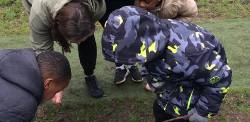 WHINF – Forest School Fun
