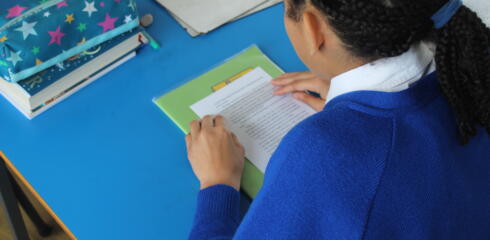 Ruler Reading Rules in Year 5 (Lavender Class)