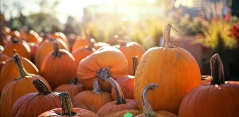 Atwood’s Pumpkin competition 2025