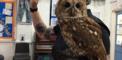 BINF- Owl Power!
