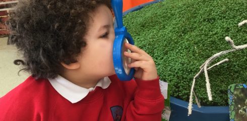 CYP LOWER – Little Cypress: How does your garden grow?