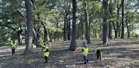 Trip to our local park