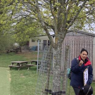 Forest school Atwood Nursery