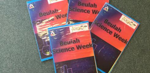 BINF  Science Week – What happens if we investigate…