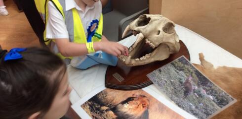 ATW – Year 1 Visit to the Horniman Museum