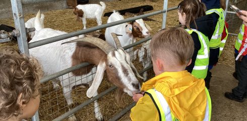 ATW Reception News – Godstone Farm Trip