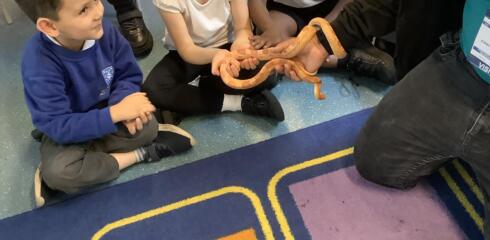 Ecclesbourne goes wild with Zoolab
