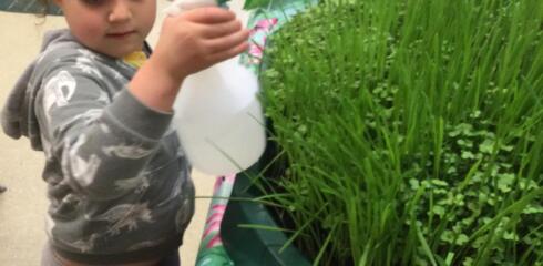 CYP LOWER: Green Fingers in Little Cypress!