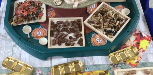 CYP LOWER – All systems go in Little Cypress!