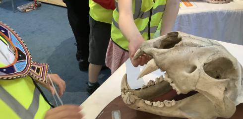 CYP Lower-Exploring African artefacts at the Horniman museum