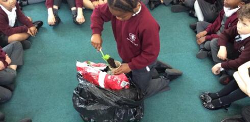 WHINF – Seed Sewing in Year 2