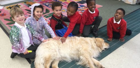 CYP Lower – Life Lately in Little Cypress