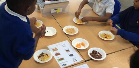 Does anyone fancy some delicious worm spaghetti?