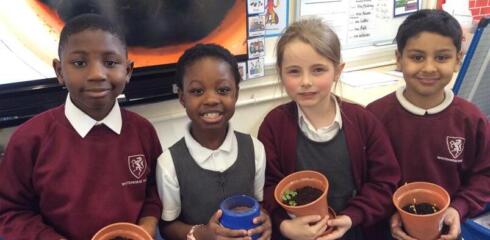 WHINF – Planting in Year 2
