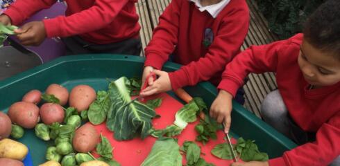 CYP Lower – Vital Vegetables in Little Cypress!