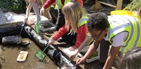 CYP Lower-learning about nature with London Wildlife Trust