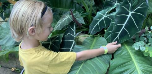 ATW Year 3 Trip to RHS Wisley