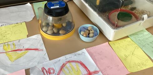 ATW Reception News – Partridges, caterpillars and frogs