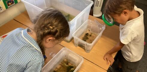 ATW Reception News – Tadpole’s promise