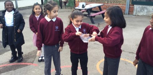 WHINF – A busy January in Year 2