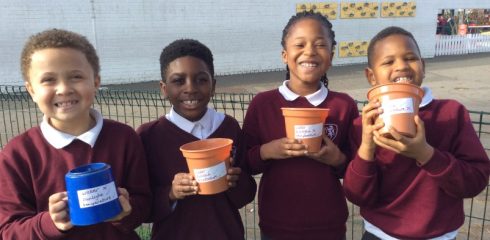 WHINF – growing green