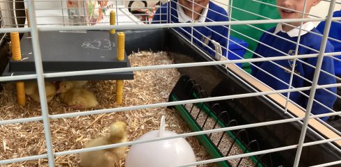 ATW Reception News – What an eggcellent surprise!