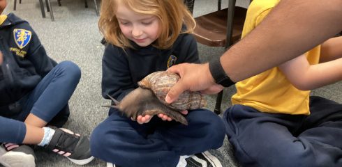 ATW Reception News – Caterpillars, stick insects and a visit from ZooLab