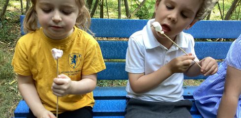 ATW Reception News – Bees, potatoes and fires