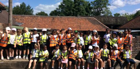 BINF – Yellow Class Visit Godstone Farm!