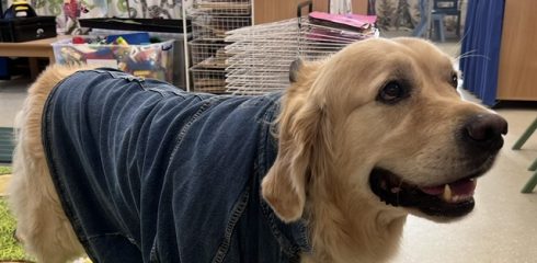 Cypress – Jeans for Genes