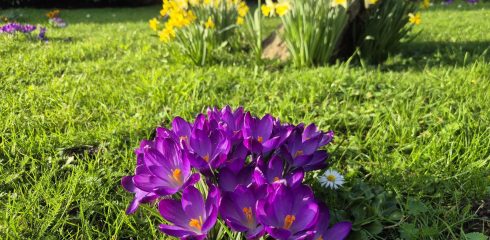 Spring has sprung at WHJUN