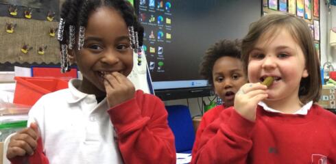 BINF – What’s Inside the Curiosity Cube? Yellow Class Investigates!