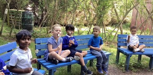 ATW Nursery News – 3rd July