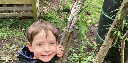 Nursery News – 12th June
