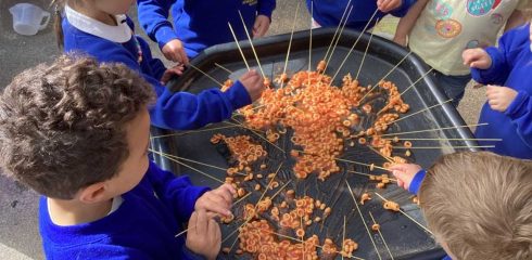 ATW Nursery News – 1st May